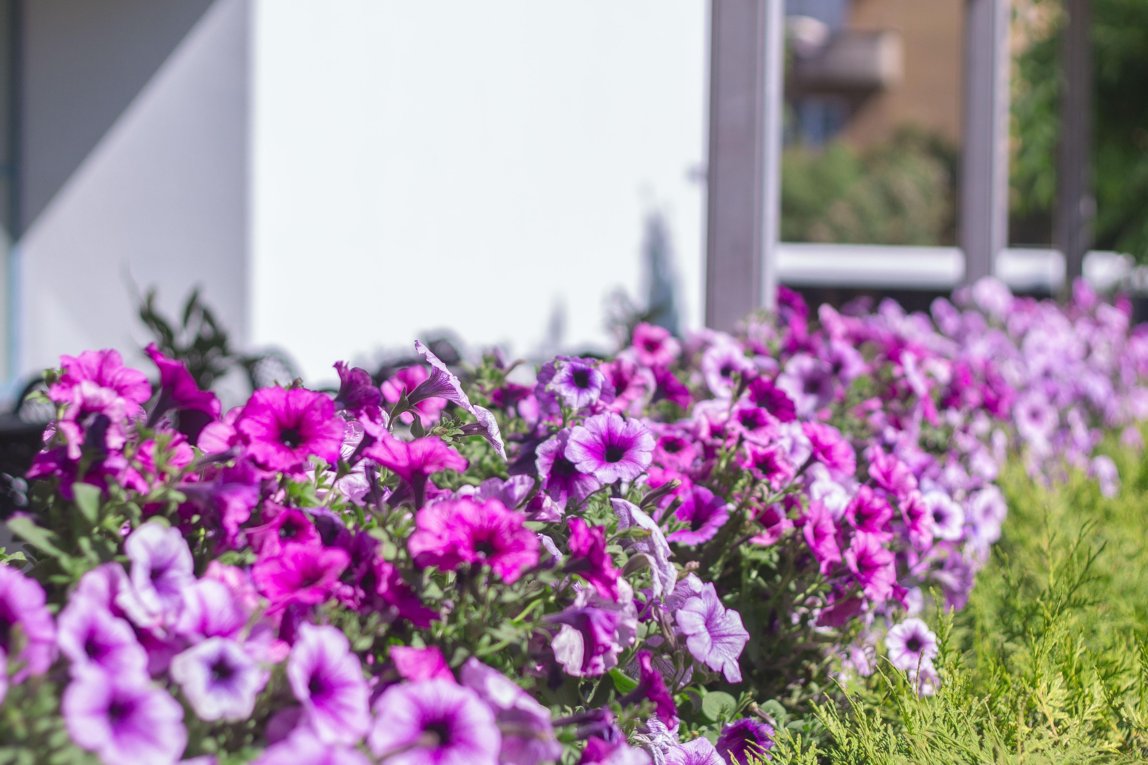 Bellevue Park Hotel Riga With Free Parking Εξωτερικό φωτογραφία